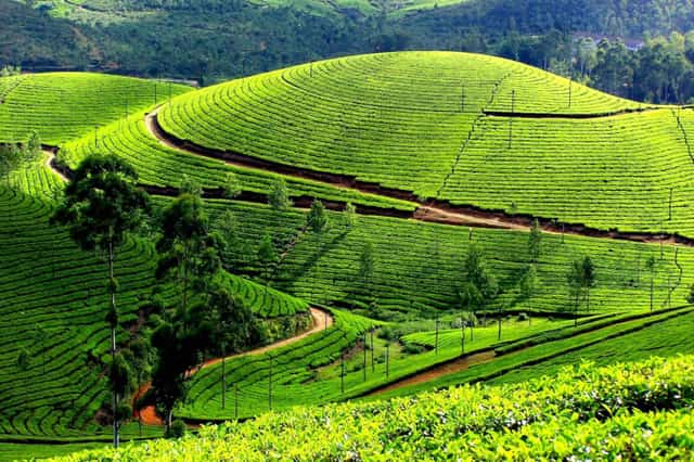 去Thanh Chuong茶山旅游的最佳时间是什么时候？