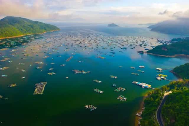 Vung Ro Bay