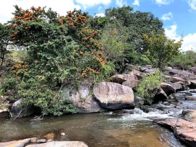 Suoi Mo