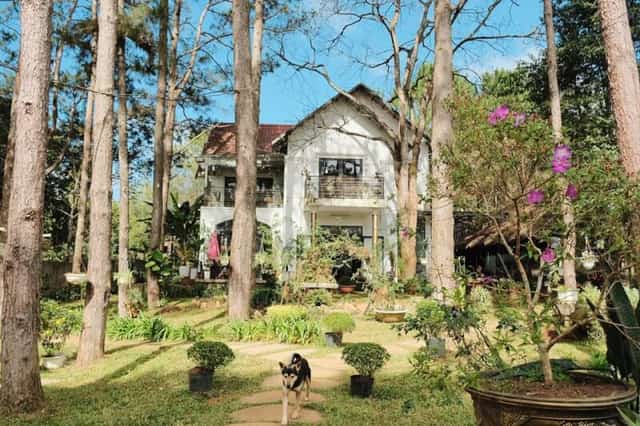 Homestay S'nghe Mang Den