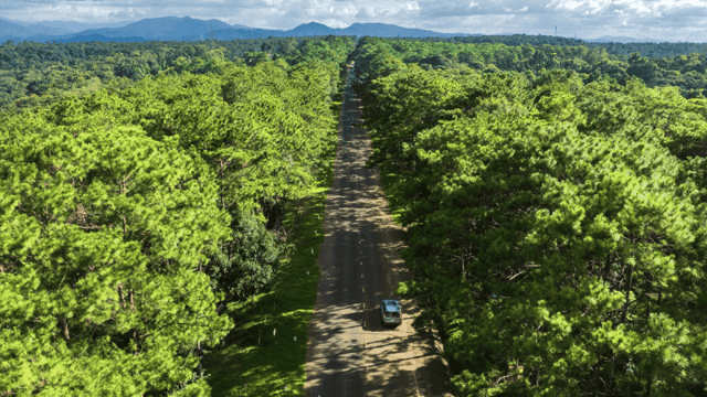Best time to travel to Mang Den