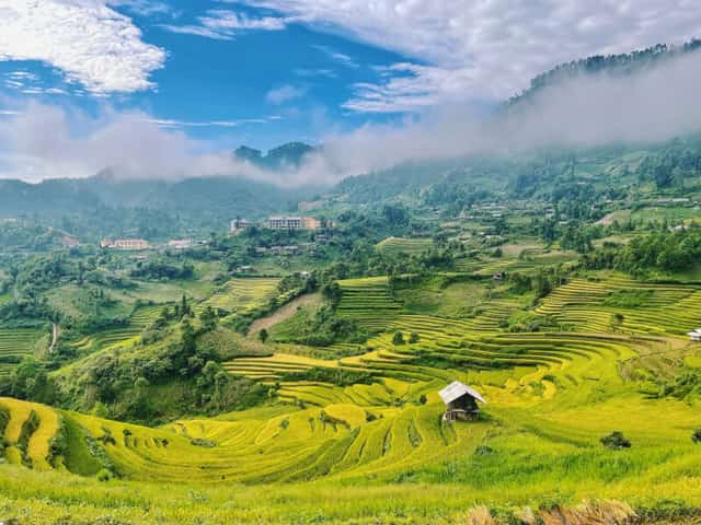 Mù Cang Chải