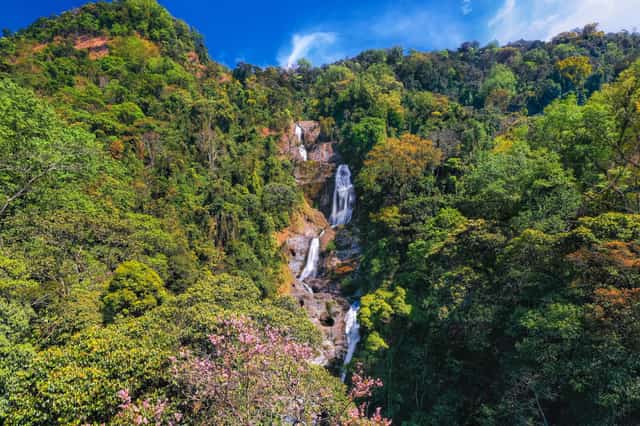 Tea Prong Waterfall