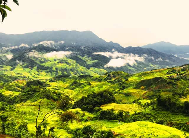 Ngoc Linh Nature Reserve
