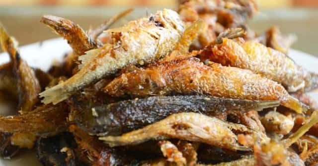 Sapa stream fish
