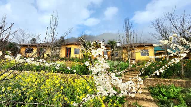 Homestay Khám Phá Y Tý
