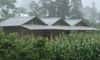 Gia Han Bungalow