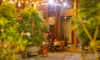 Homestay Mộc Luxury
