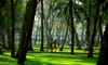 Thong Nhat Park