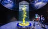 Lotte World Hanoi Aquarium