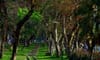 Thong Nhat Park