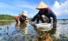 Ban Than - Hon Mang - Hon Dua scenic spots