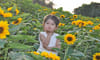 Ha Lung Flower Village