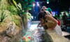Lotte World Hanoi Aquarium