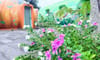Da Lat Tien Canh Soc Son