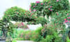 Da Lat Tien Canh Soc Son