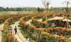 Rose Park