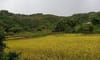 Làng du lịch cộng đồng Ta Lang