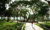 Thong Nhat Park