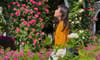 Rose Park