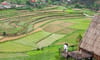 Bamboo Hill Resort Lang Son