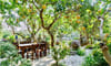 Vietnam Ornamental Botanical Park