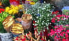 Ha Lung Flower Village