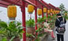 Chùa Cây Thị – Hà Nam