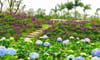 Rose Park