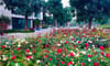 Rose Park