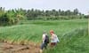ク・ラオ・ダイ