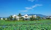 Vuon Vua Resort & Villas