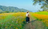 Xom Mung 花山
