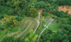 Nui Ngam eco-tourism area