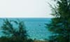 Vinh Thanh fishing village beach