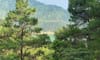Dong Do Lake