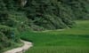 Hoai Khao Hamlet