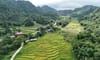 Vân Sơn