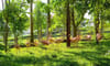 Muong Thanh Green Land Dien Lam