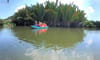 カニンウォーターココナッツフォレスト