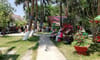 Bằng Lăng Glamping
