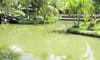 Ecotourism area along Binh My river