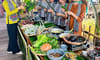 Khu du lịch sinh thái Cà Mau ECO