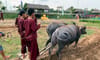 Khu Du lịch Văn hóa Phương Nam