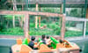 Bao Son Paradise Park
