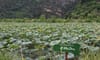 Muong Coc Community Tourism Destination