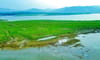 Hồ Yên Mỹ