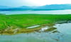 Hồ Yên Mỹ