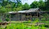 5Ku Farm
