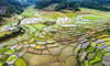 Kon Vong Kia 커뮤니티 관광 마을